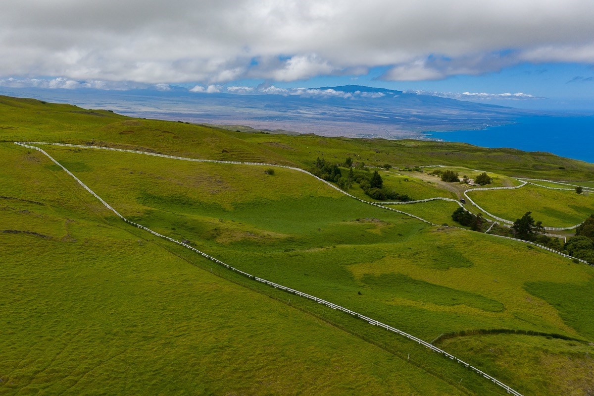 82 Kohala Ranch Road Kamuela, HI 96743 - Photo 15 of 16 Gallery Image 15