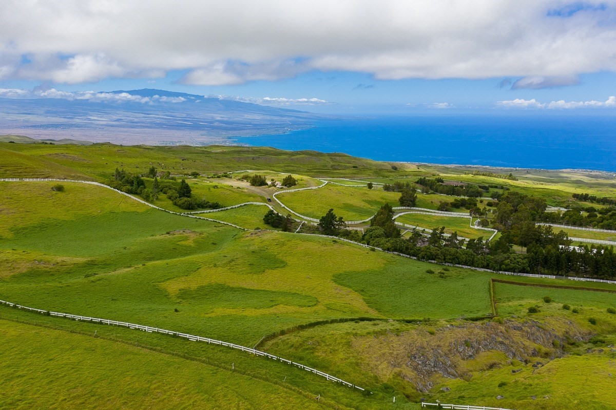 82 Kohala Ranch Road Kamuela, HI 96743 - Photo 16 of 16 Gallery Image 16