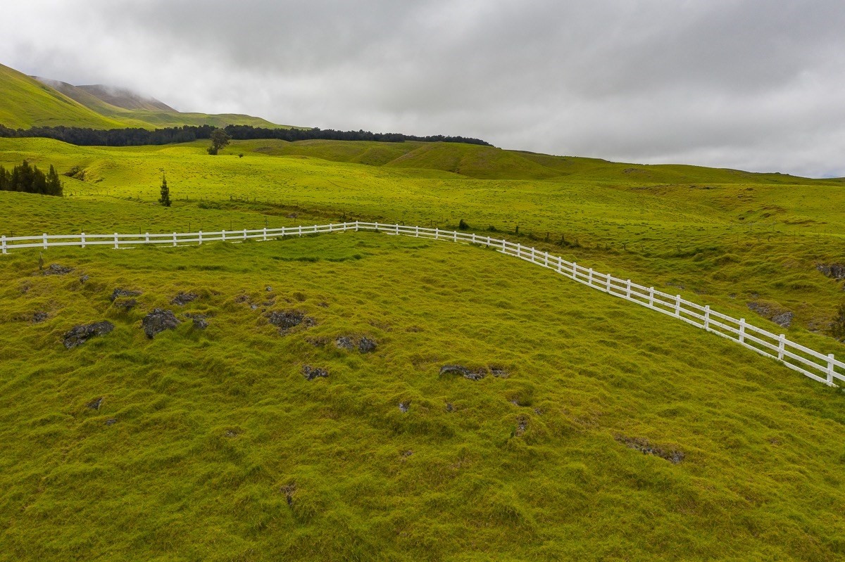 82 Kohala Ranch Road Kamuela, HI 96743 - Photo 5 of 16 Gallery Image 5