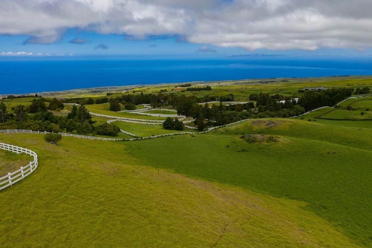 82 Kohala Ranch Road Kamuela, HI 96743 - Photo 6 of 16 Gallery Image 6