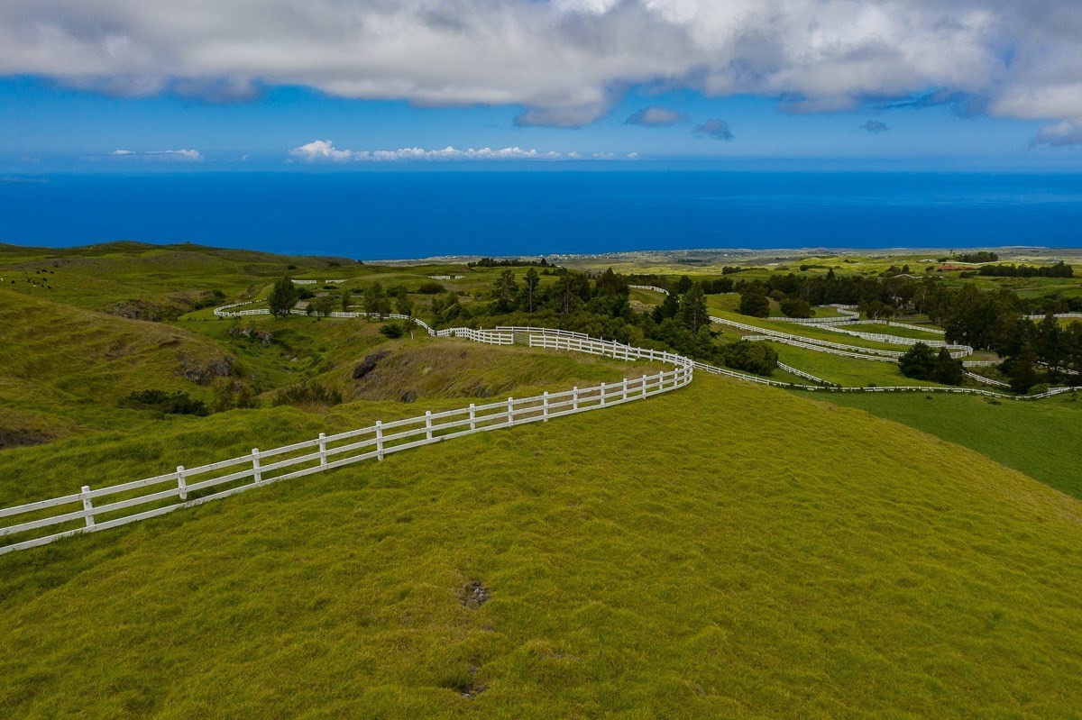 82 Kohala Ranch Road Kamuela, HI 96743 - Photo 8 of 16 Gallery Image 8