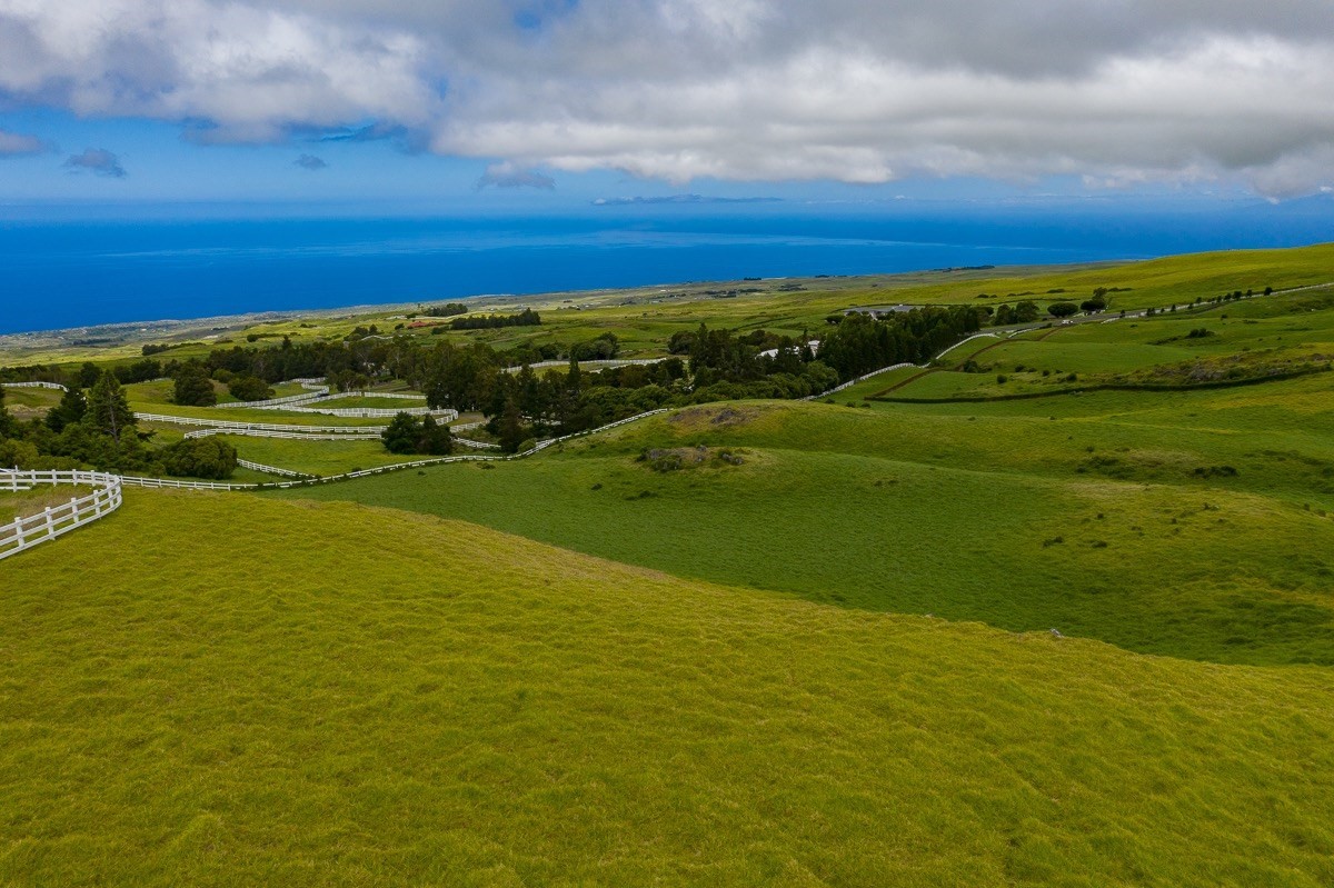 82 Kohala Ranch Road Kamuela, HI 96743 - Photo 9 of 16 Gallery Image 9