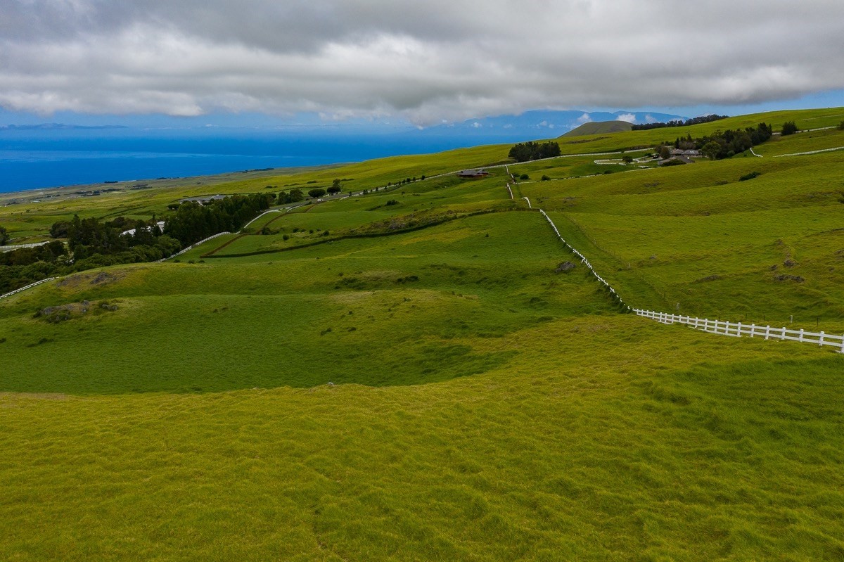 82 Kohala Ranch Road Kamuela, HI 96743 - Photo 10 of 16 Gallery Image 10