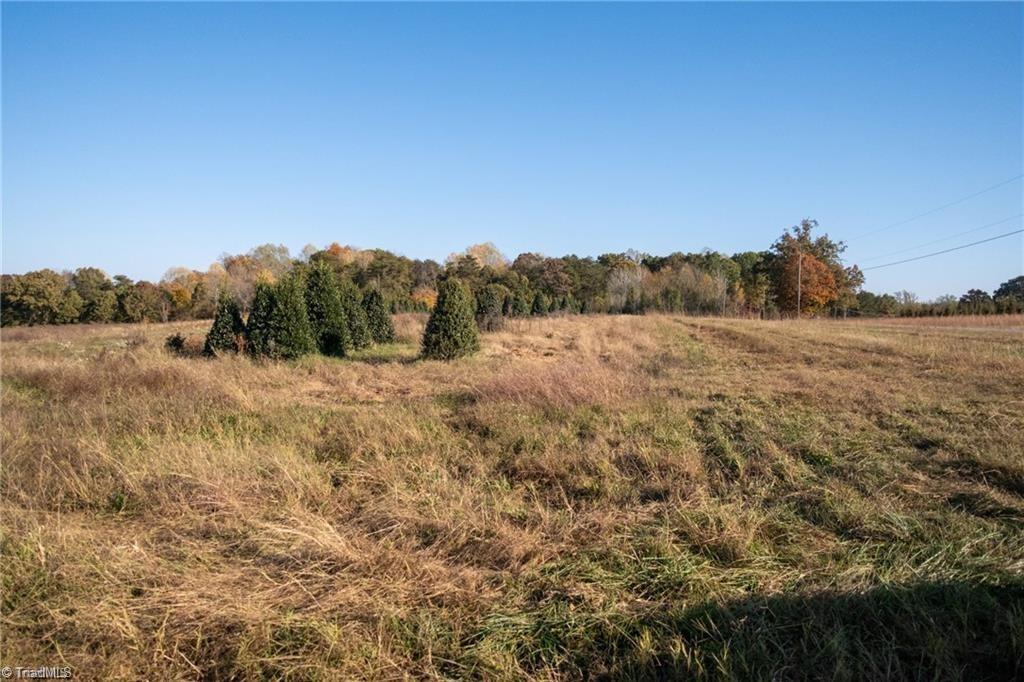 0 Boyd Road Reidsville, NC 27320 - Photo 12 of 12
