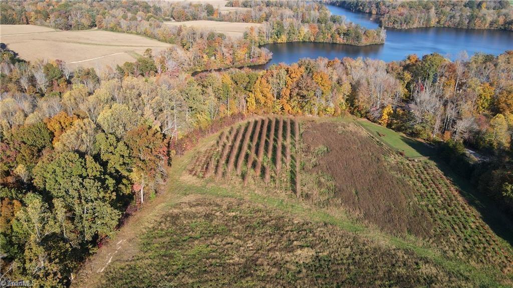 0 Boyd Road Reidsville, NC 27320 - Photo 8 of 12