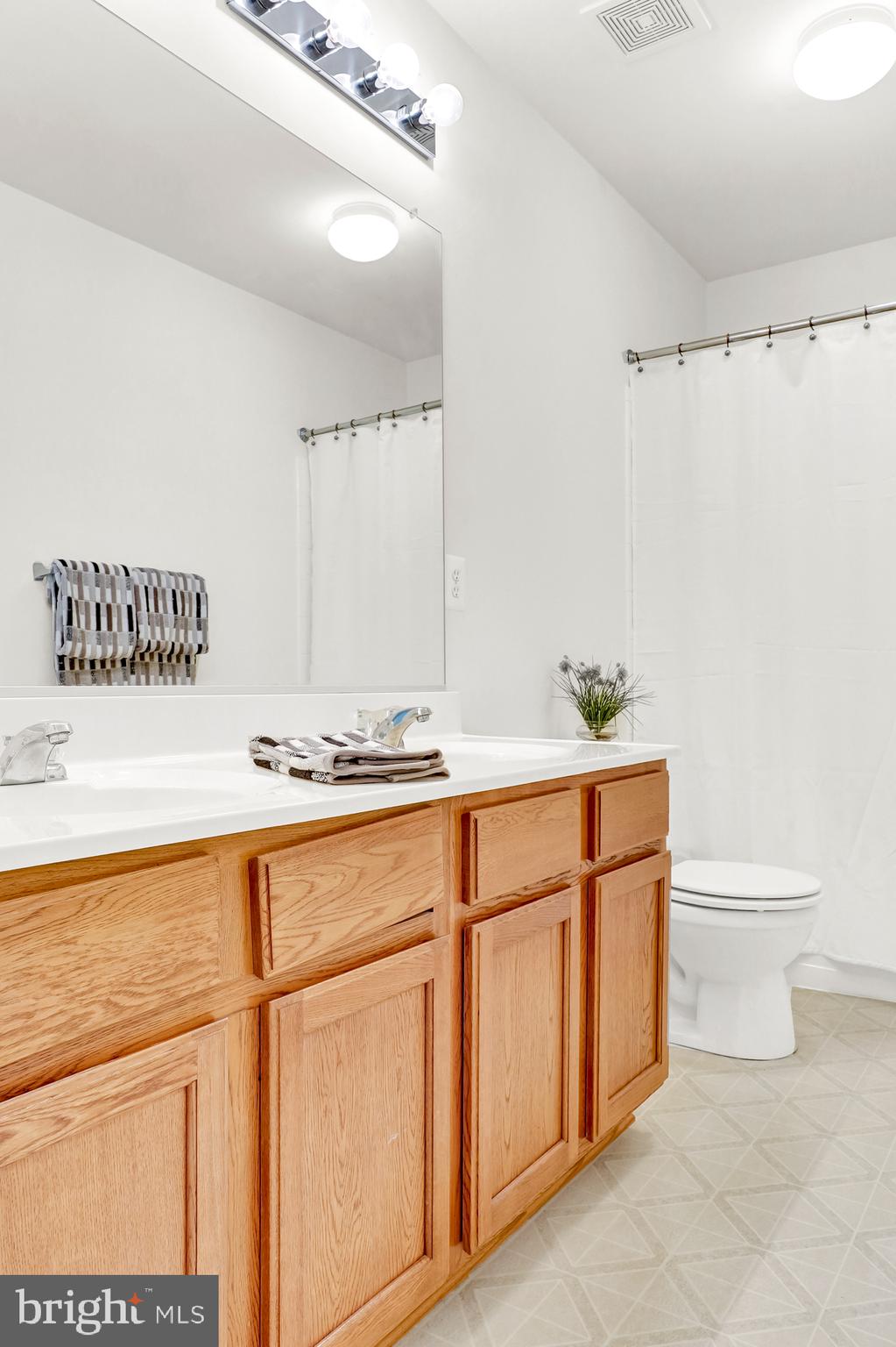 708 MacDill Road Baltimore, MD 21220 - Photo 29 of 34 Guest bath