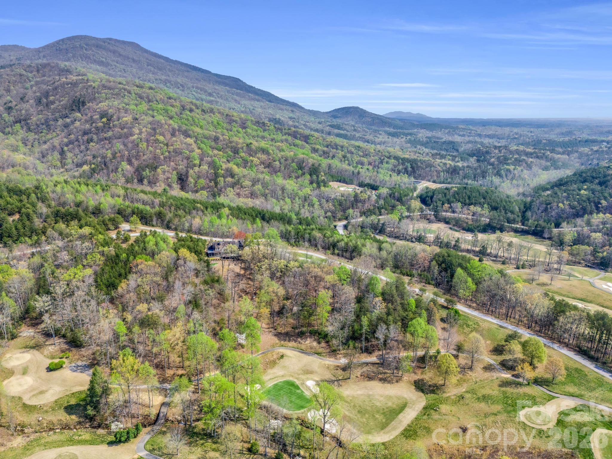 0 Chestertown Drive Mill Spring, NC 28756 - Photo 16 of 35 a view of a forest with a mountain