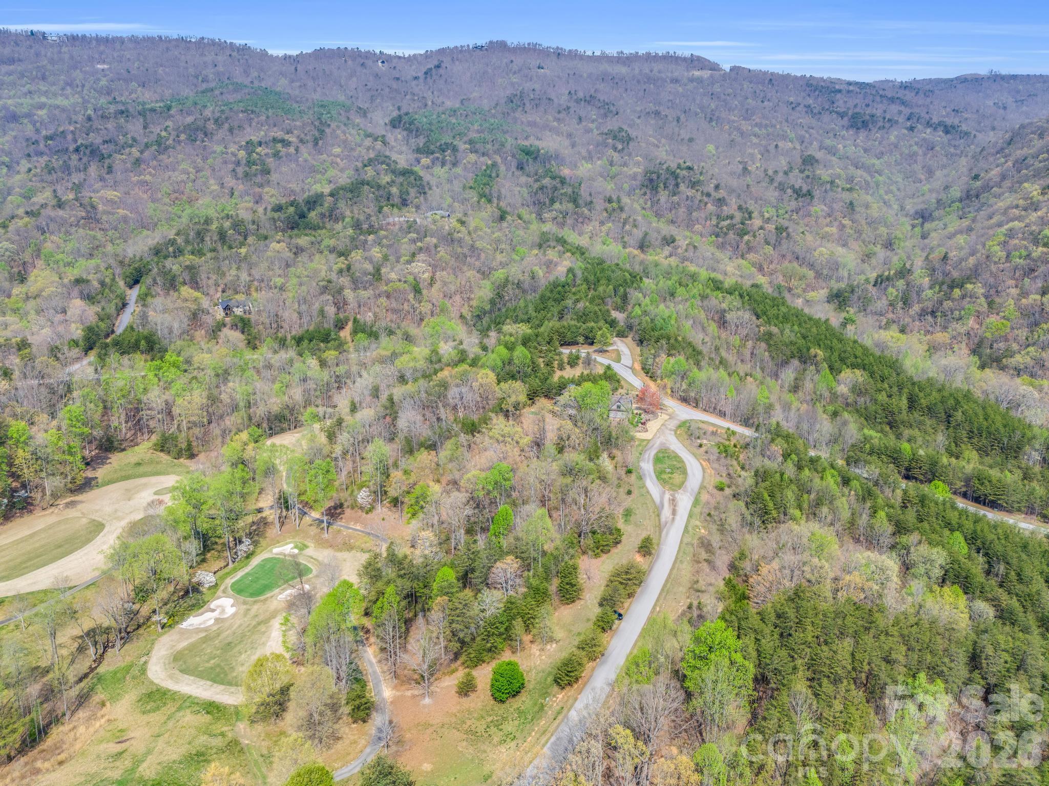 0 Chestertown Drive Mill Spring, NC 28756 - Photo 17 of 35 a view of a lush green forest with trees in the background