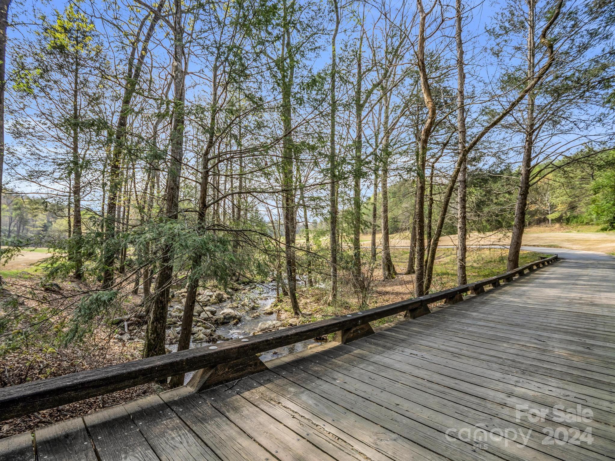 0 Chestertown Drive Mill Spring, NC 28756 - Photo 29 of 34