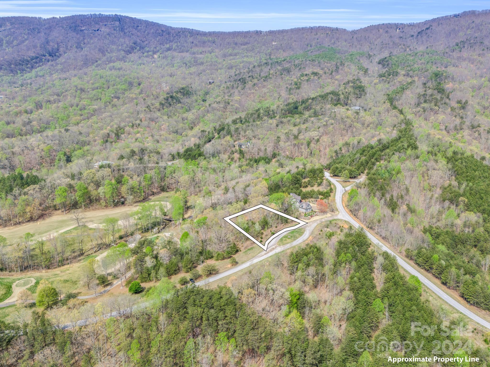 0 Chestertown Drive Mill Spring, NC 28756 - Photo 3 of 34 a view of a field with an ocean