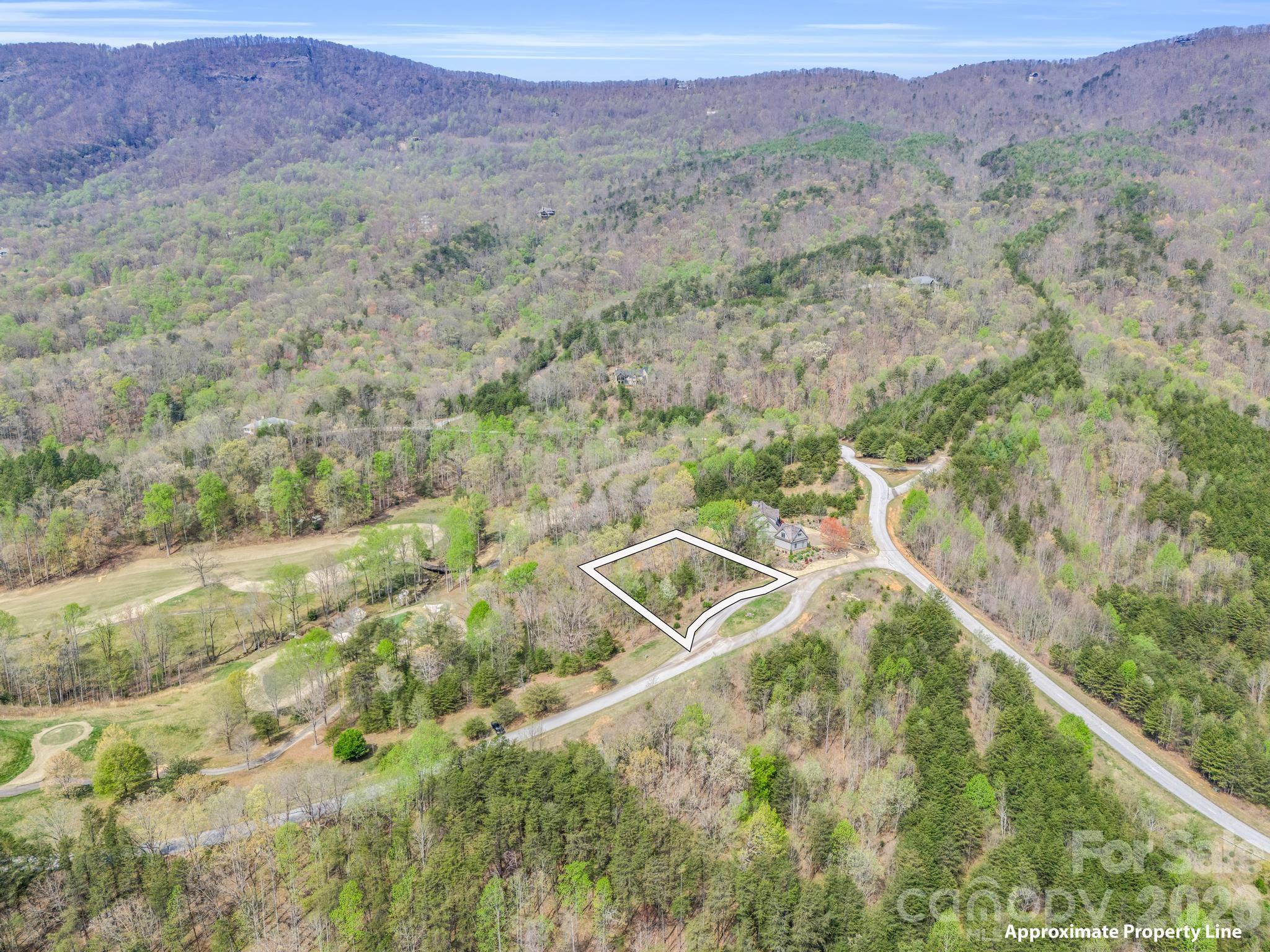 0 Chestertown Drive Mill Spring, NC 28756 - Photo 3 of 35 a view of a lush green hillside and a houses