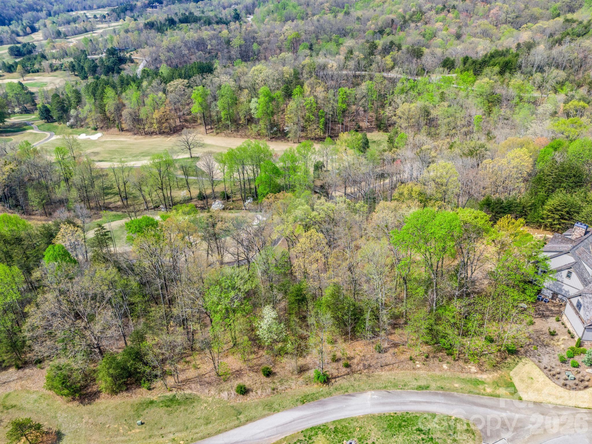 0 Chestertown Drive Mill Spring, NC 28756 - Photo 6 of 35 a view of a garden with a yard