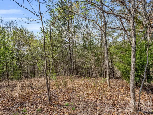 $90,000 | 0 Chestertown Drive, Mill Spring, NC 28756