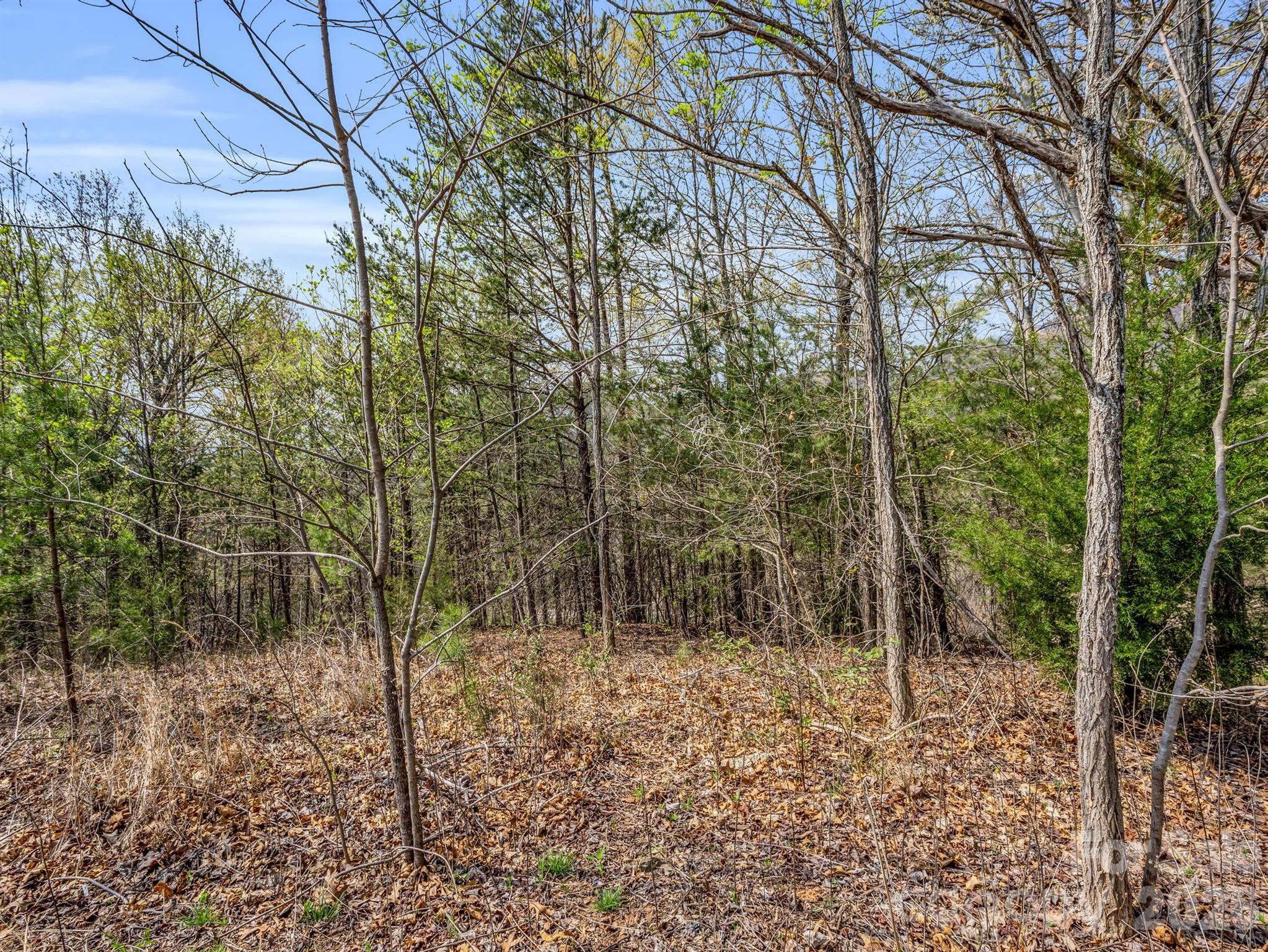 0 Chestertown Drive Mill Spring, NC 28756 - Photo 7 of 35 a view of a forest filled with trees