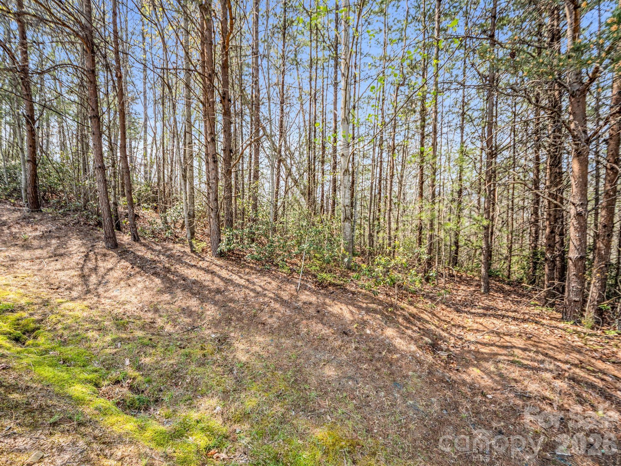0 Chestertown Drive Mill Spring, NC 28756 - Photo 8 of 35 a view of backyard with green space