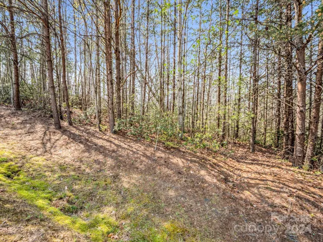 a view of backyard with green space