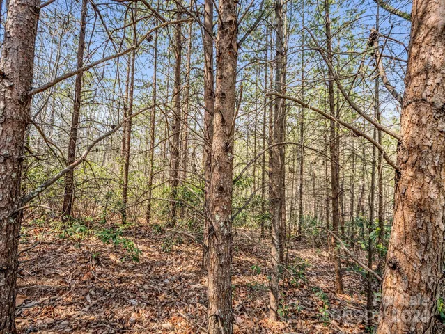a backyard of a building