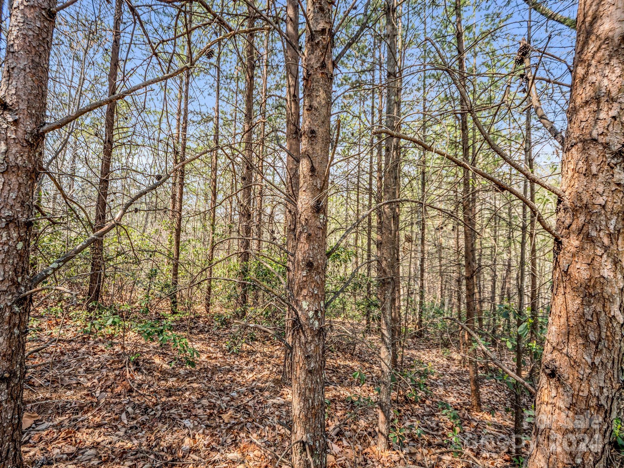 0 Chestertown Drive Mill Spring, NC 28756 - Photo 9 of 34 a backyard of a building
