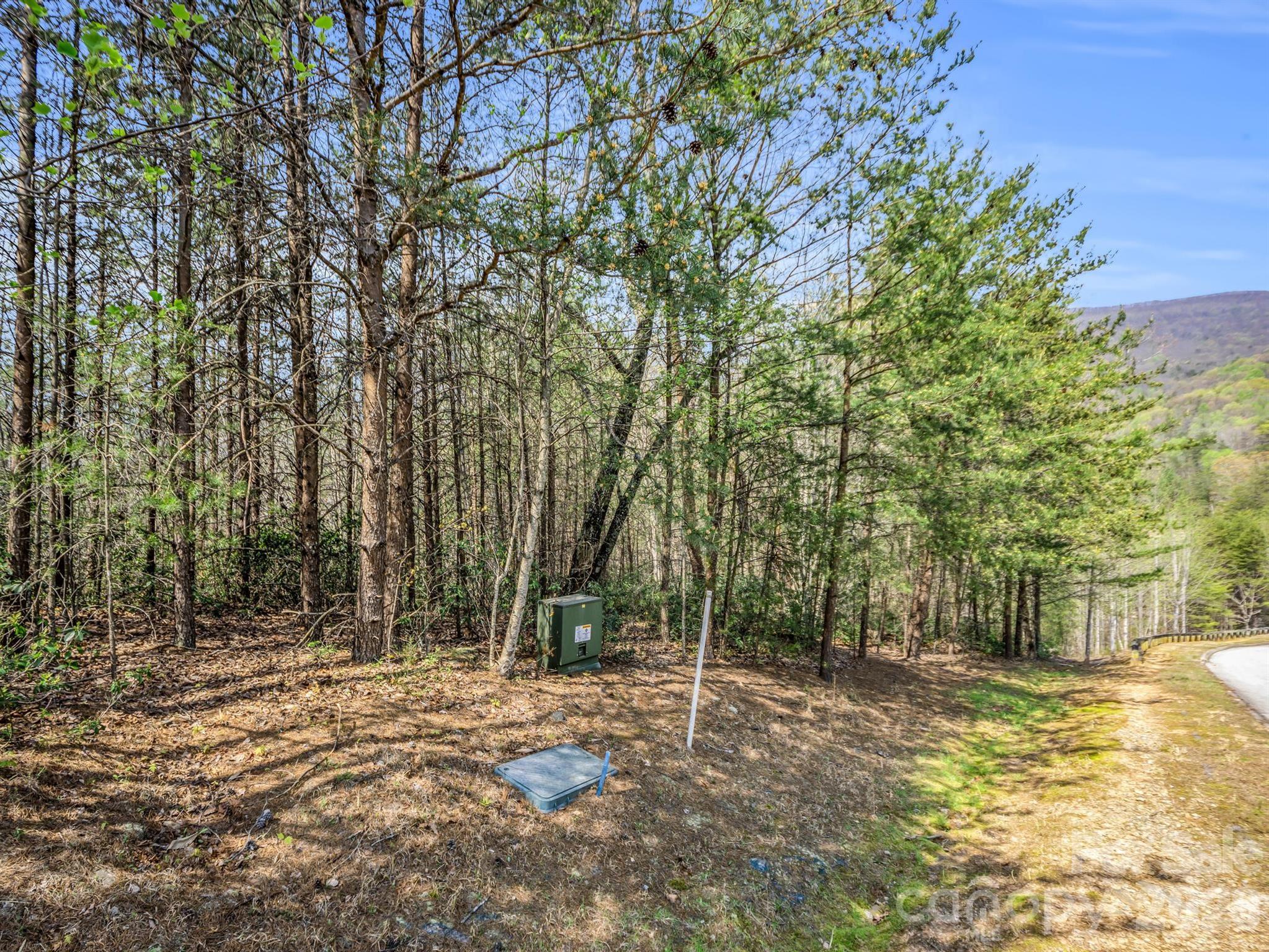 0 Chestertown Drive Mill Spring, NC 28756 - Photo 10 of 35 a view of a yard with trees