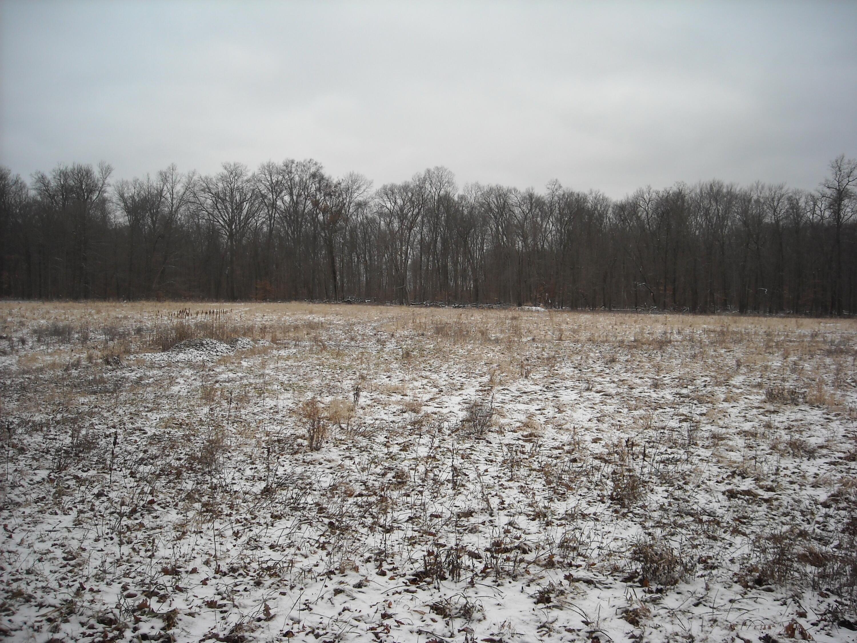 0 Salem Road Cardington, OH 43315 - Photo 1 of 5 Gallery Image 1