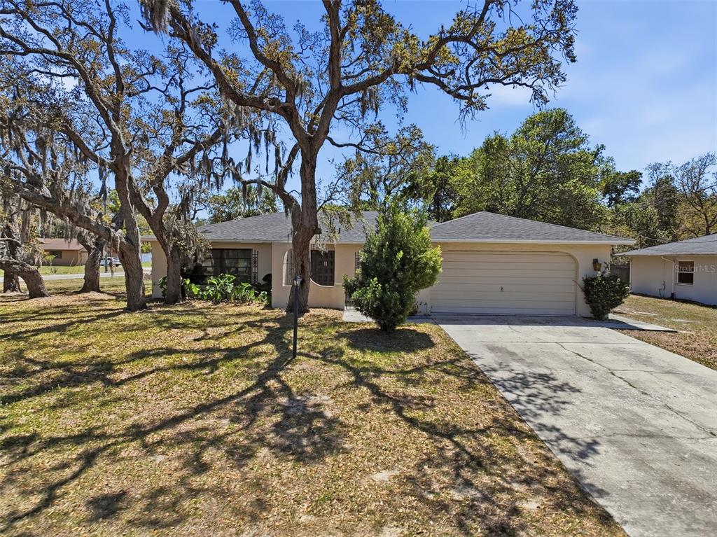 6496 Jamaica Road Spring Hill, FL 34606 - Photo 3 of 40