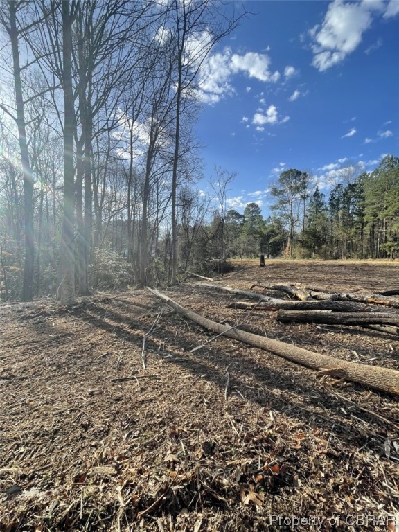 2.07-ac Old Pinetta Road Gloucester, VA 23061 - Photo 14 of 16