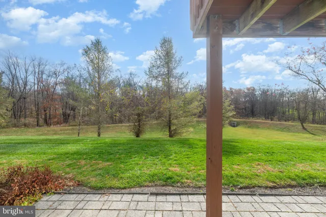 a view of a trees with a yard