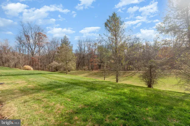 a view of yard with tree