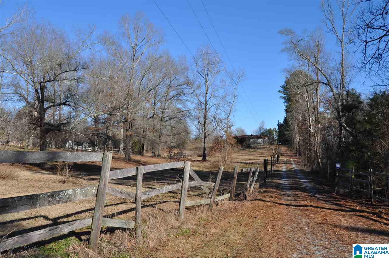 990 Thompson Road Ohatchee, AL 36271 - Photo 3 of 38 Gallery Image 3