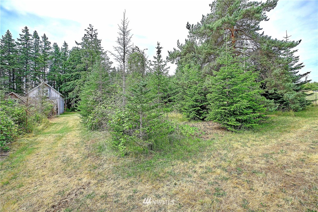 459 Russell Road Camano Island, WA 98282 - Photo 19 of 23 Gallery Image 19