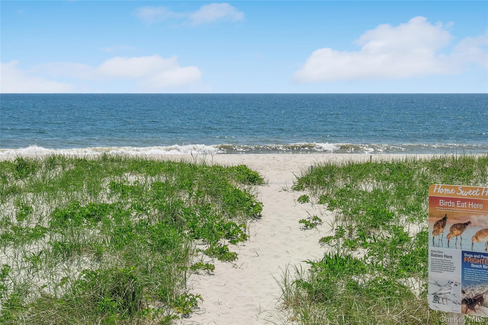 846 Dune Road Westhampton Beach, NY 11978 - Photo 27 of 34 Water view with a beach view