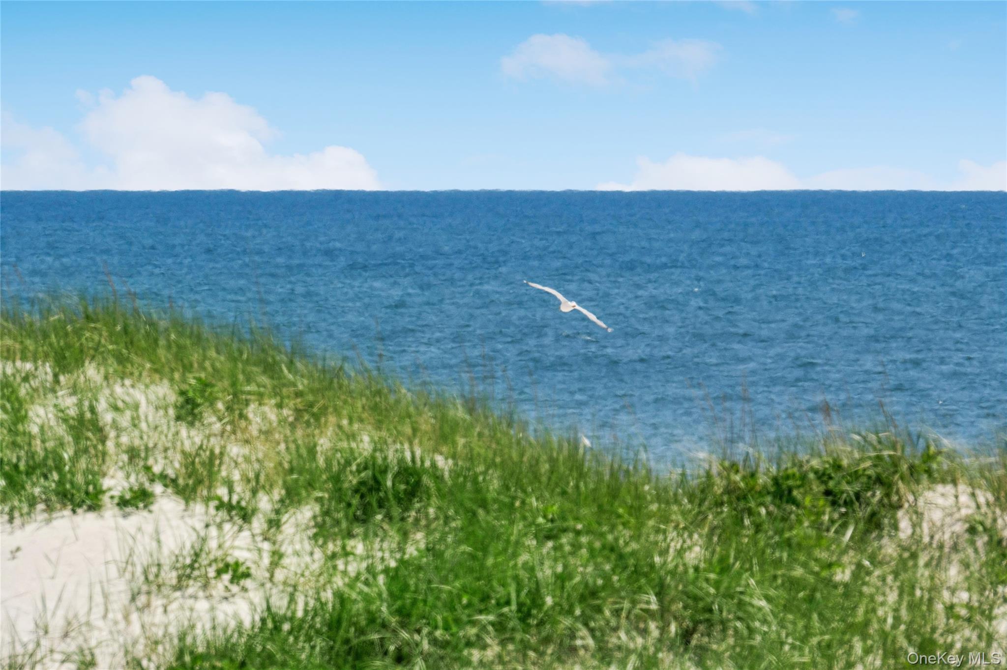 846 Dune Road Westhampton Beach, NY 11978 - Photo 30 of 34 Property view of water