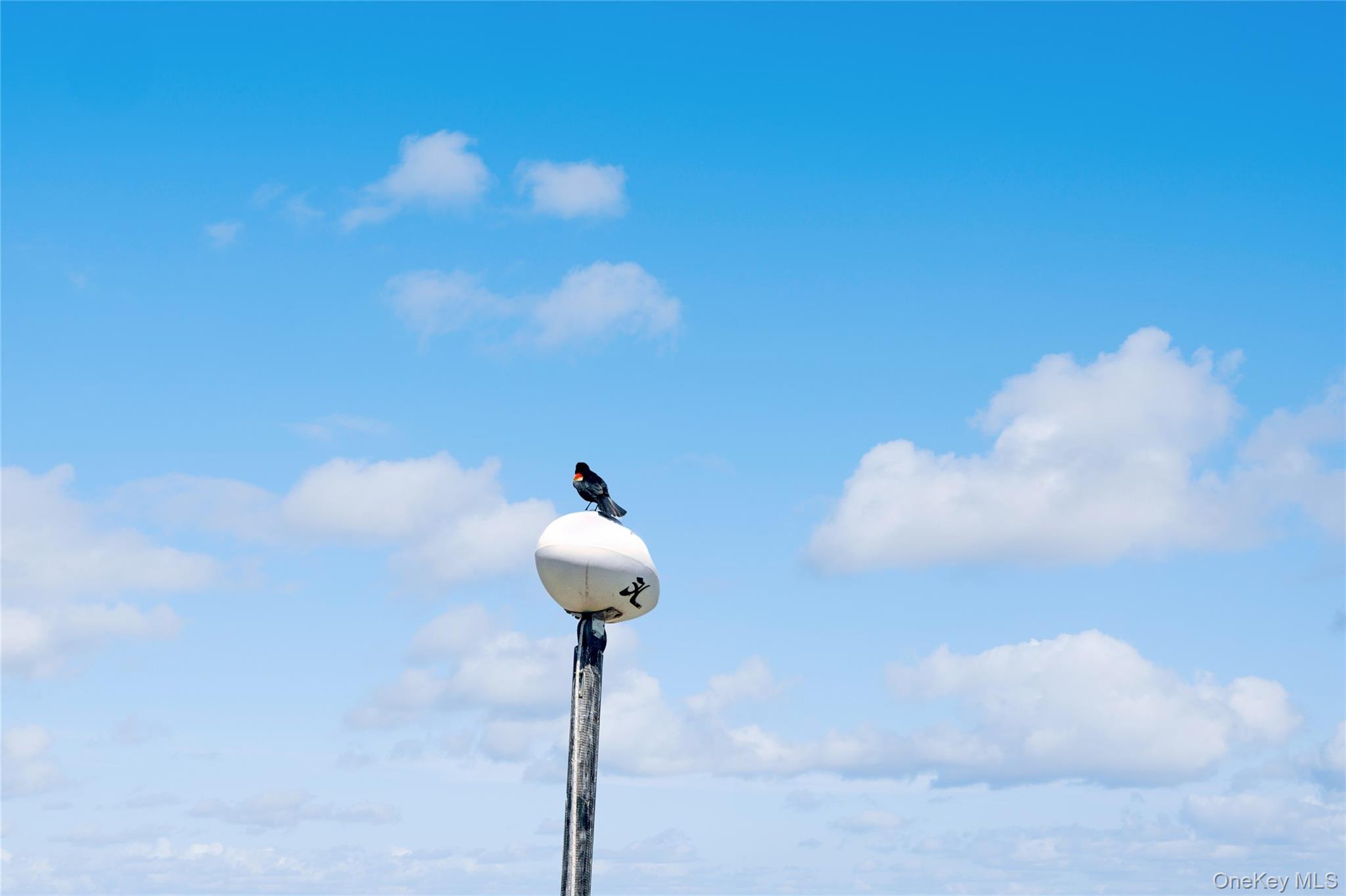 846 Dune Road Westhampton Beach, NY 11978 - Photo 32 of 34 View of exterior details