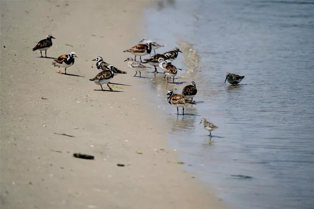 $10,000 | 846 Dune Road, Westhampton Beach, NY 11978