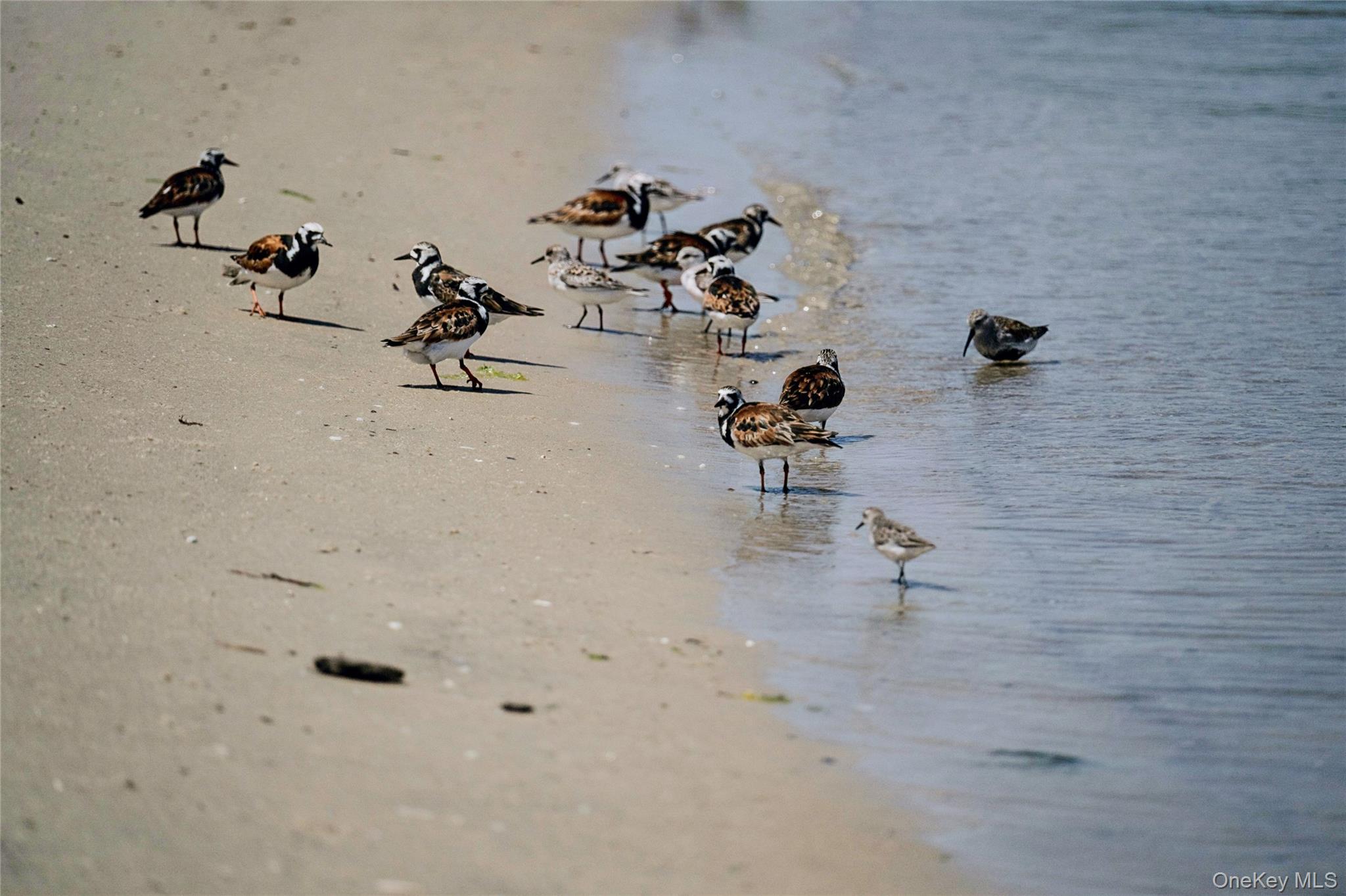 846 Dune Road Westhampton Beach, NY 11978 - Photo 33 of 34 View of water feature