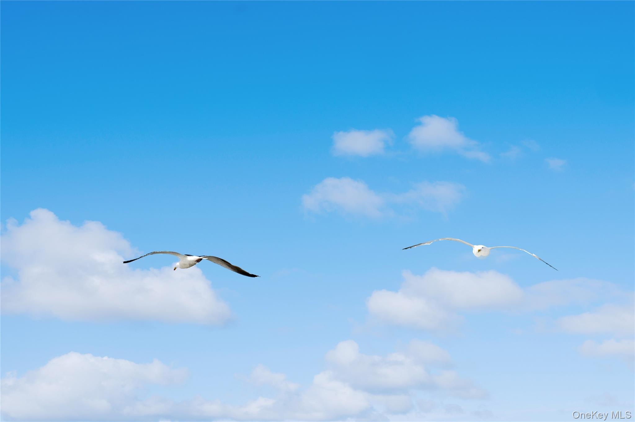 846 Dune Road Westhampton Beach, NY 11978 - Photo 34 of 34