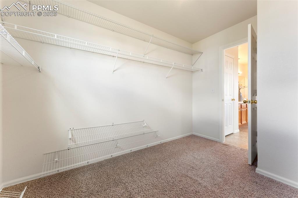 12210 Crystal Downs Road Peyton, CO 80831 - Photo 20 of 50 Walk in closet with carpet floors