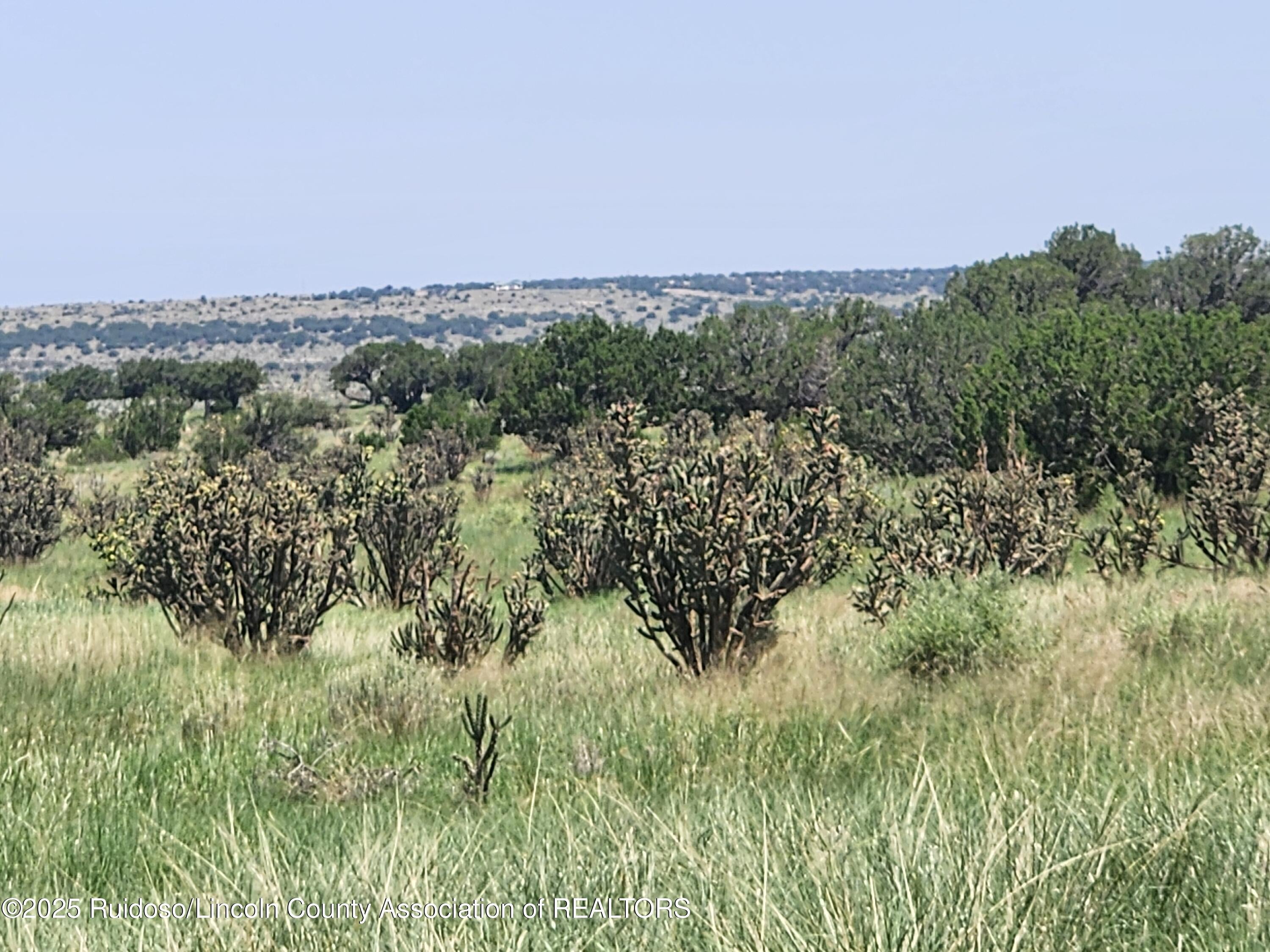 312 Windmill Road Carrizozo, NM 88301 - Photo 64 of 70 Gallery Image 64