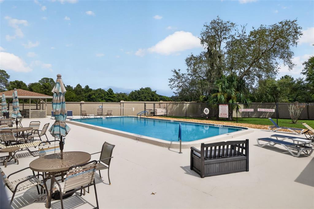 11754 Spring Tree Lane Port Richey, FL 34668 - Photo 23 of 23 Gallery Image 23
