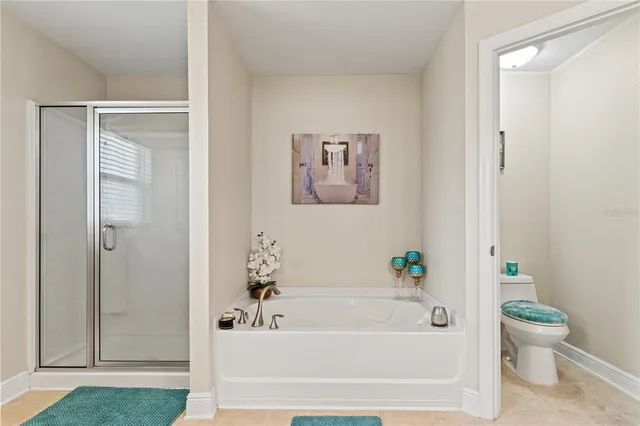 a bathroom with a bathtub and a toilet