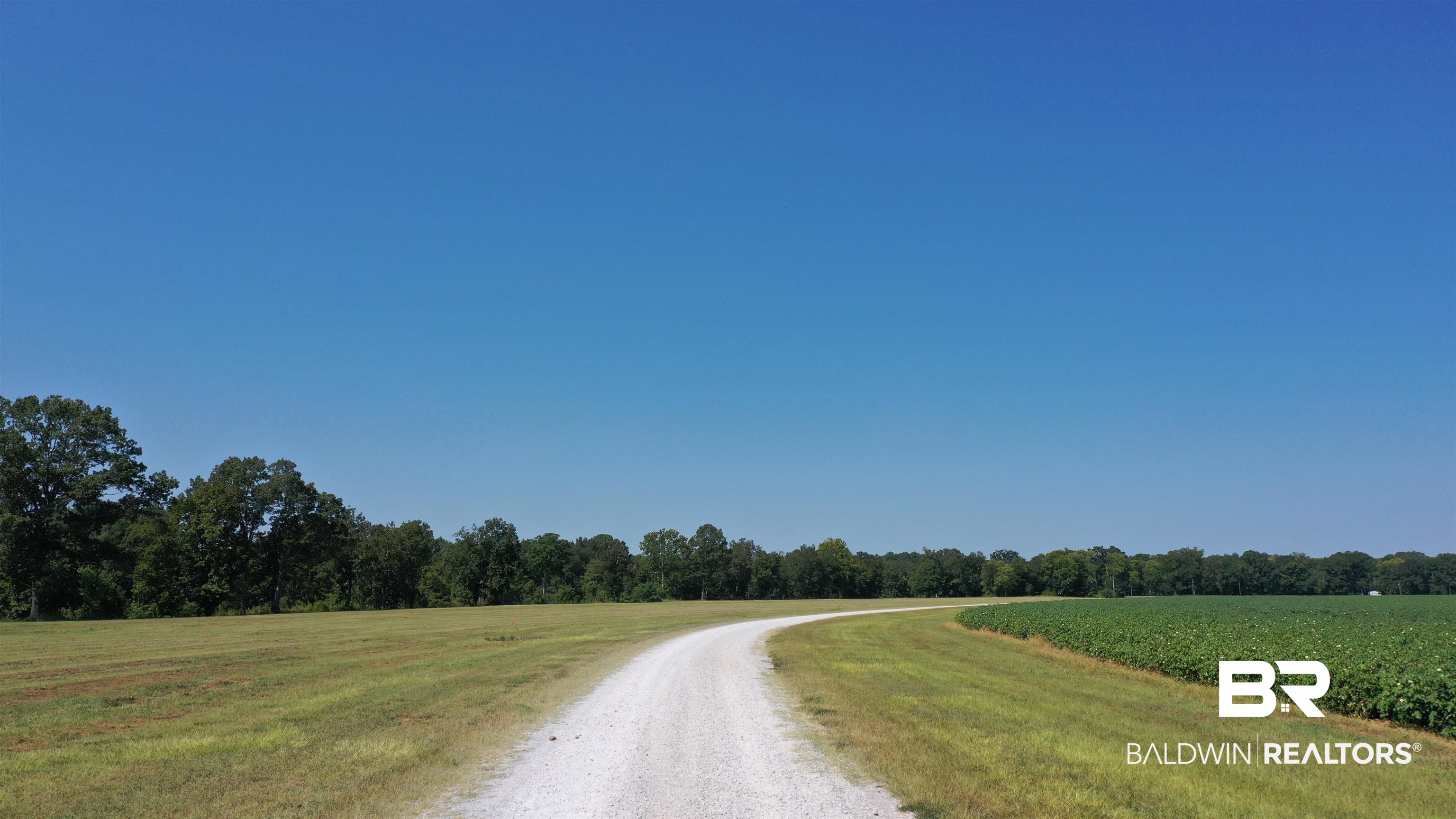 Lot 27 Judge Greene Place Road Greensboro, AL 36744 - Photo 27 of 48