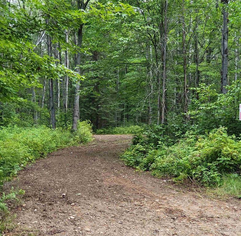 Tbd Dream Lake Road, Unit LOT 2 Long Lake, WI 54542 - Photo 3 of 10