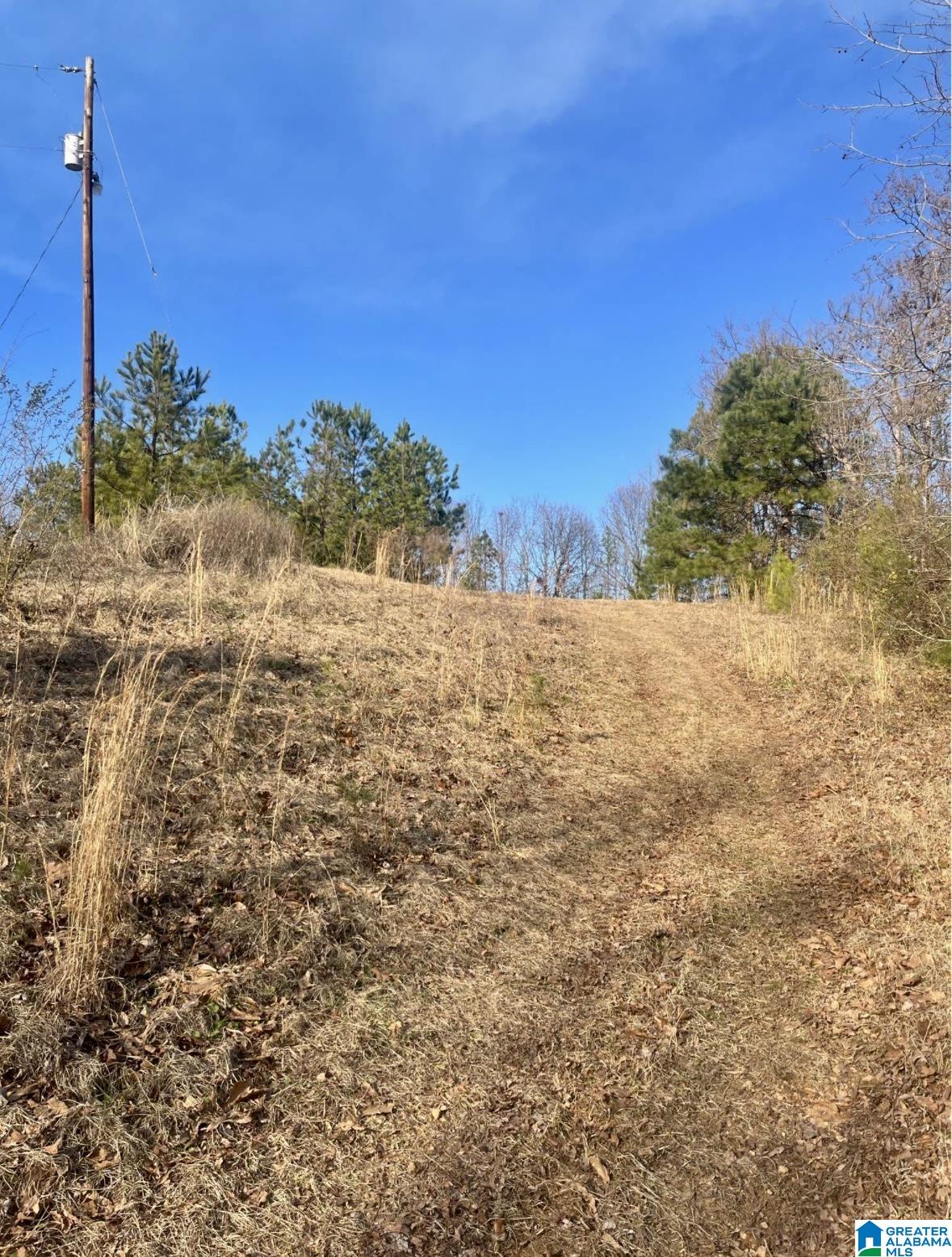 0 Blue Ridge Drive Talladega, AL 35160 - Photo 8 of 14