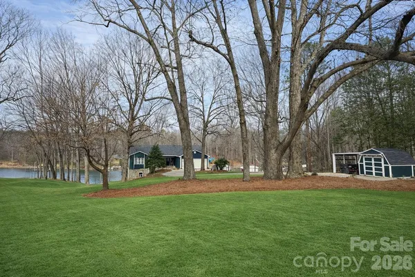 a view of a park with large trees