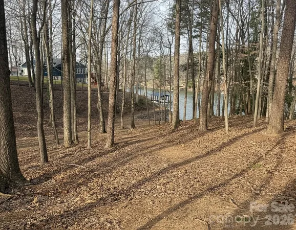 a view of backyard with green space