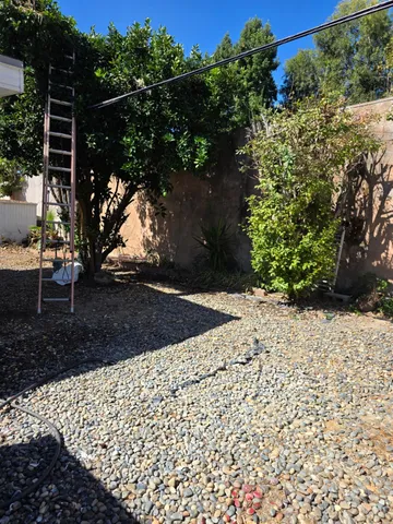 a view of a yard with plants and trees