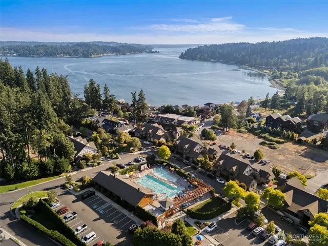 a view of a forest with trees in the background