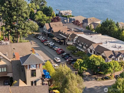 a view of a tree in a garden