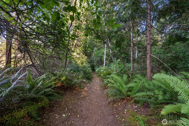 a view of a house with a tree