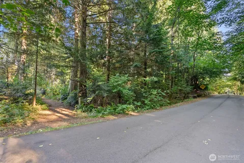 a view of a yard with plants and trees